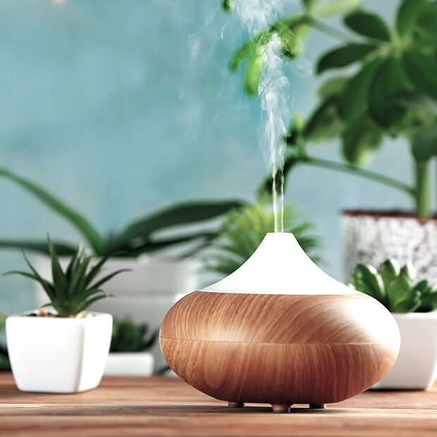 Wellness